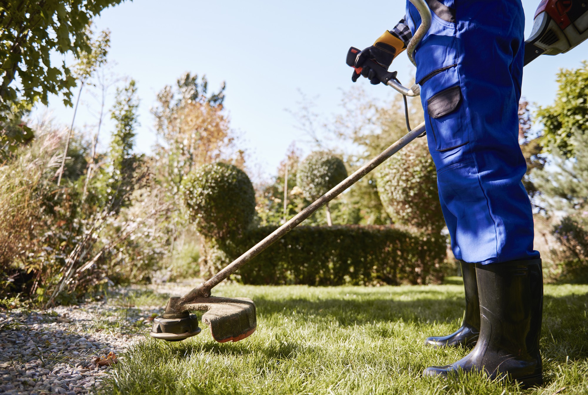gardener-with-weedwacker-cutting-grass-garden